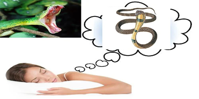 Xổ Số 3 Miền Ok9 - Nắm Bắt Cơ Hội Làm Giàu Nhanh Chóng 21 Cẩn trọng trước giấc mơ rắn bò vào hang