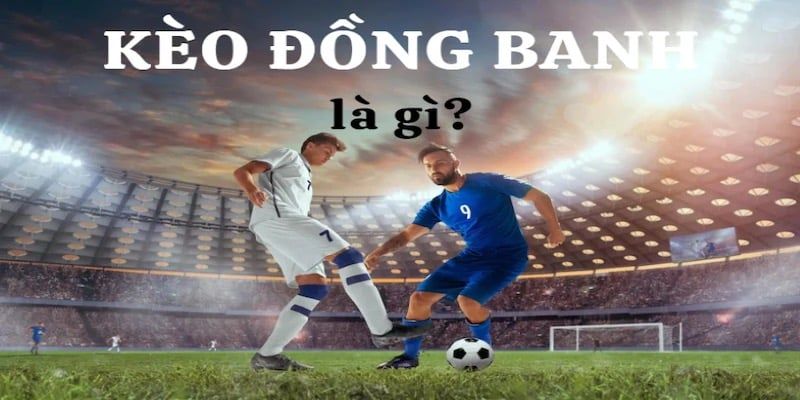 Hướng Dẫn Chi Tiết Cách Đặt Cược Kèo Châu Âu Hiệu Quả 14 Kèo đồng banh là gì dạng tỷ lệ chấp 0 cược Handicap