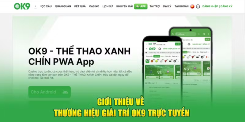 Đại Lý OK9 - Hợp Tác Mở Đại Lý Nhận Hoa Hồng Cực Khủng 17 Thương hiệu giải trí OK9 hàng đầu Châu Á