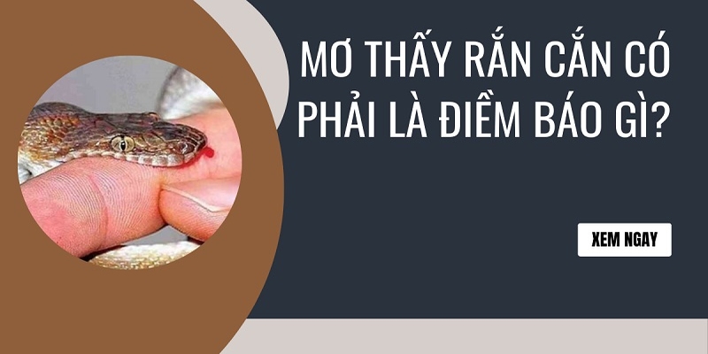 Xổ Số 3 Miền Ok9 - Nắm Bắt Cơ Hội Làm Giàu Nhanh Chóng 20 Nội dung mơ thấy rắn cắn bạn nên biết